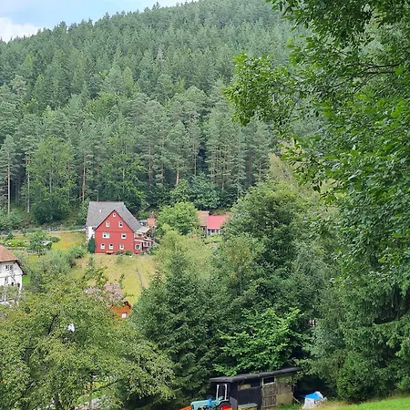 Am Wald Apartment *