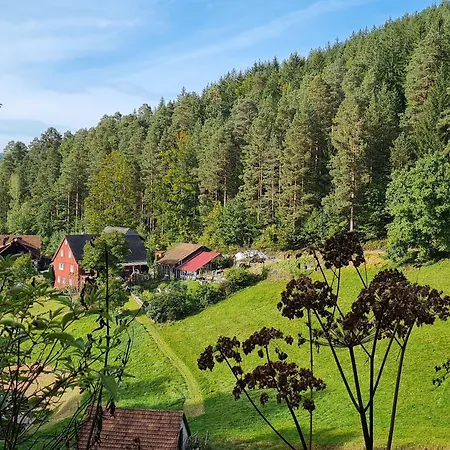 Apartment Am Wald Baiersbronn